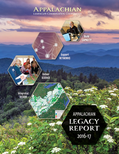 Cover image for report