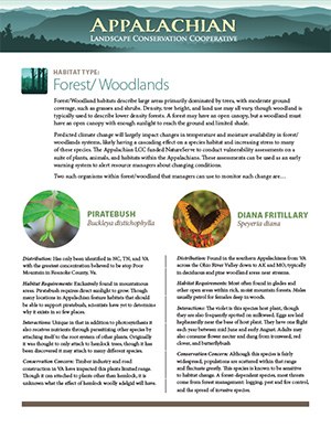 Fact Sheet: Habitat - Forest/Woodlands