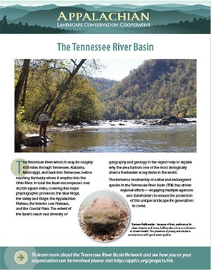 Fact Sheet: Tennessee River Basin Network