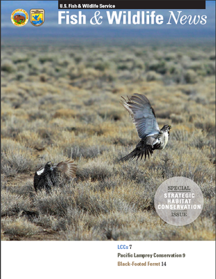 Fish and Wildlife News SHC Issue