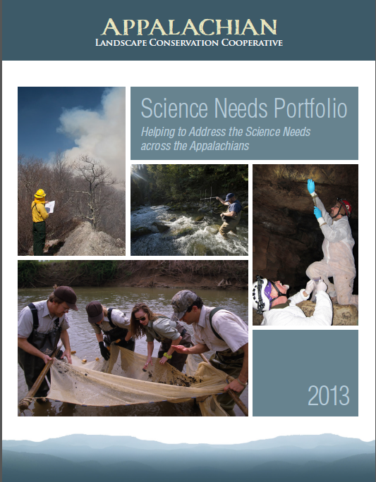 SN Portfolio Cover 2013