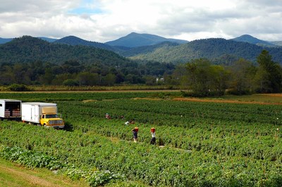 Appalachian Farm