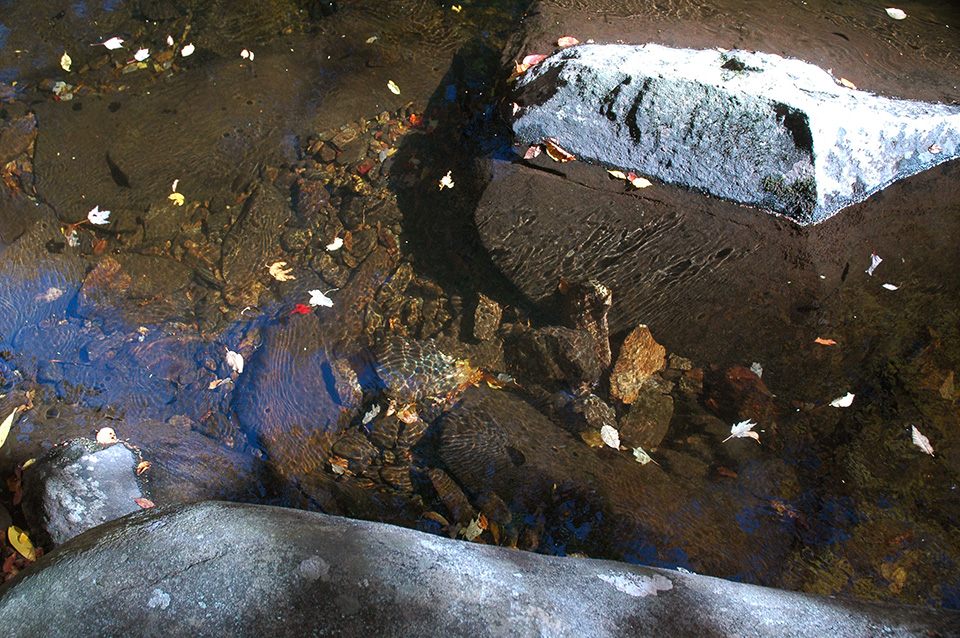 Appalachian stream