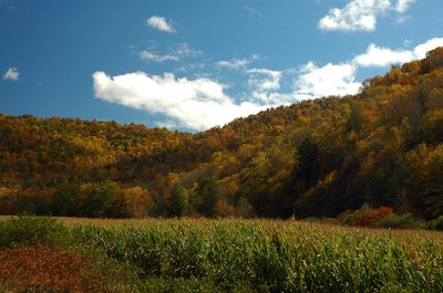 Appalachian view
