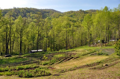 Beckman Garden Easement