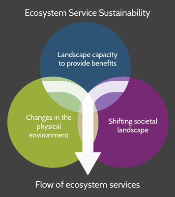 Ecosystem Service Sustainability