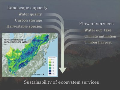 Sustainability of ecosystem services (1)