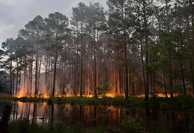 Southeast FireMap Academic Publications Southeast FireMap Academic Publications