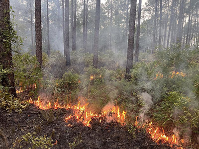 SE FireMap 1.0 Beta SE FireMap 1.0 Beta