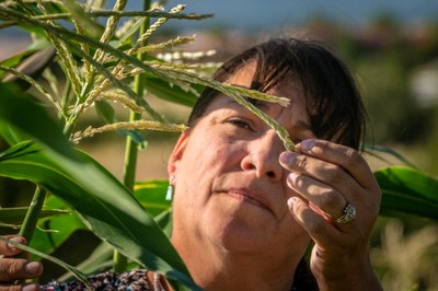 Native woman with plant