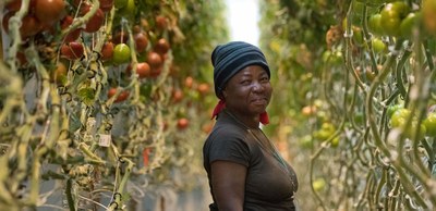 woman-with-tomatoes.jpg