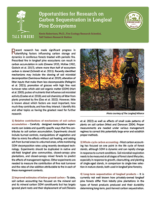 News: Opportunities for Research on Carbon Sequestration in Longleaf Pine Ecosystems Fact Sheet