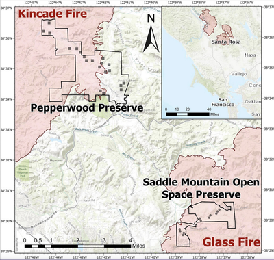 Comparing Remote Sensing and Field-Based Approaches to Estimate Ladder Fuels and Predict Wildfire Burn Severity