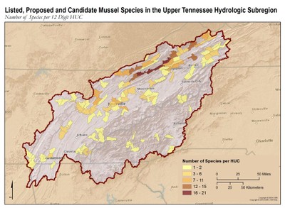 Map of Listed, Proposed, and Candidate Mussels in the UTRB