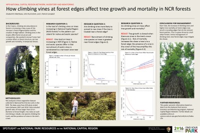 How Climbing Vines at Forest Edges Affect Tree Growth and Mortality in NCR Forests