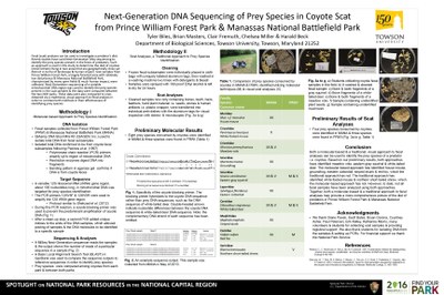 From Prince William Forest Park & Manassas National Battlefield Park. Fecal (scat) analyses can be used to investigate a predator’s diet. Recent studies have used Next-Generation DNA sequencing to identify the prey species present in the feces of predators. Such an approach is used in this study to determine the diet of coyotes (Canis latrans) living in two areas that are geographically close yet distinct in terms of landscape & human impact. Scat samples  from Prince William Forest Park, a largely forested area with relatively low disturbance & Manassas National Battlefield Park, characterized by many open fields & much  human impact, were collected. Next-Generation sequencing of a variable mitochondrial DNA region  was used to identify the prey species present in the scat samples  & the data were compared between the two NCR parks. These  data were also compared to ones obtained via a traditional, visual approach to fecal analysis to contrast both methods in their effectiveness of identifying prey species.