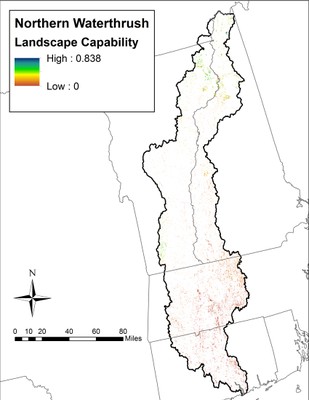 Landscape Capability for Northern Waterthrush