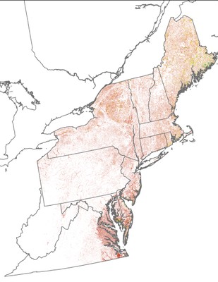 Landscape Capability for American Black Duck, Breeding, Version 2.0, Northeast