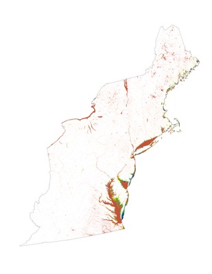 Landscape Capability for American Black Duck, Non-Breeding, Version 3.1, Northeast U.S.