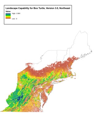 Landscape Capability for Box Turtle, Version 3.0, Northeast