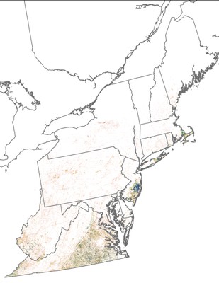 Landscape Capability for Prairie Warbler, Version 2.0, Northeast