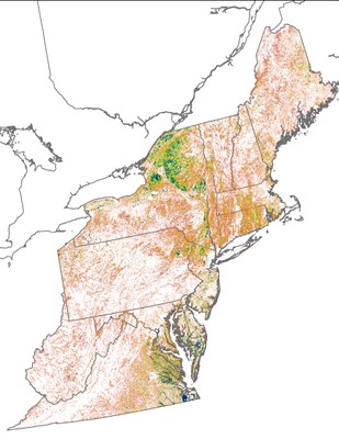 Landscape Capability for Wood Duck, Version 2.1, Northeast