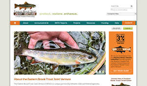 Eastern Brook Trout Joint Venture