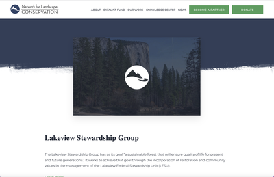 Lakeview Stewardship Group