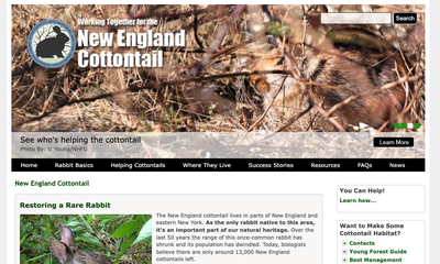 Working Together for the New England Cottontail