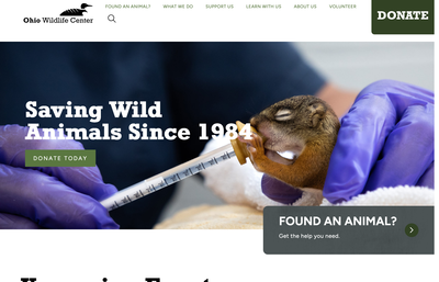 Ohio Wildlife Center