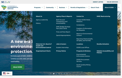 South Carolina Department of Environmental Services