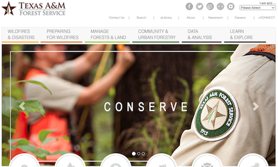 Texas A&M Forest Service