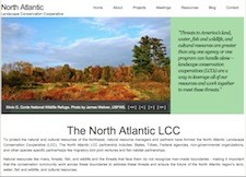 North Atlantic LCC