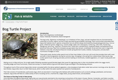 New Jersey Bog Turtle Conservation Initiative: Working with Landowners and Communities