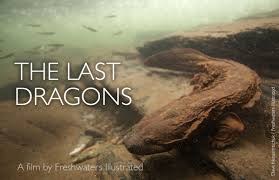 The Last Dragons - Protecting Appalachia's Hellbenders - 10 minute film