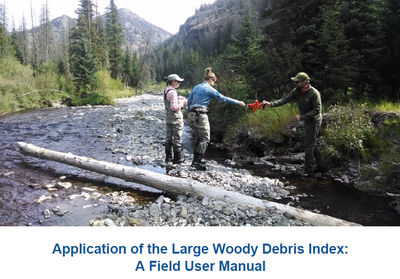 Large Woody Debris Index (LWDI) Manual