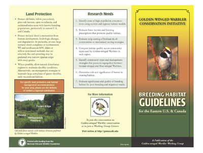 Golden-winged Warbler Conservation Initiative Brochure