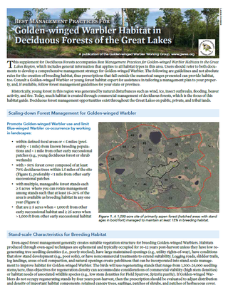 Best Management Practices for Golden-winged Warbler Habitat in Deciduous Forests of the Great Lakes