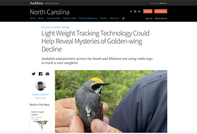 Light Weight Tracking Technology Could Help Reveal Mysteries of Golden-winged Warbler Decline