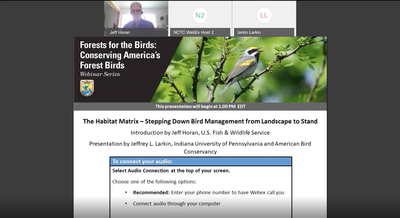 The Habitat Matrix - Stepping Down Bird Management From Landscape to Stand