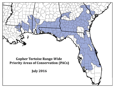 Map: Gopher Tortoise Range-Wide PACs