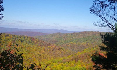 Eastern Deciduous Forests