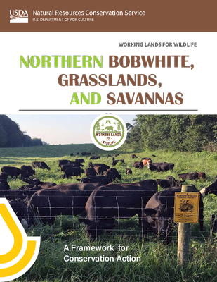 Working Lands for Wildlife: Northern Bobwhite, Grasslands and Savannas Framework for Conservation Action