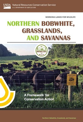 Grassland Framework cover