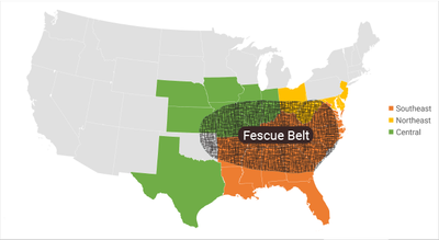 Map of Fescue Belt