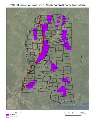 Mississippi Priority Area Shapefiles