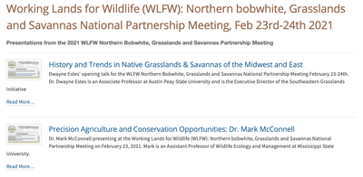 Northern bobwhite, Grasslands and Savannas National Partnership Meeting, Feb 23rd-24th 2021 Webinar Presentation