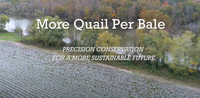 More Quail Per Bale: Precision Conservation for a More Sustainable Future
