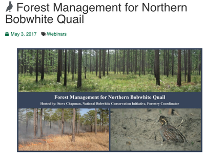 Forest Management for Northern Bobwhite Quail