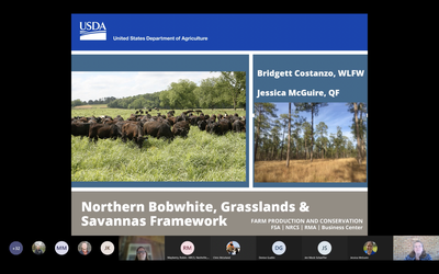 WLFW Northern bobwhite, Grasslands, and Savannas Framework - Partners’ webinar 3/2/2022